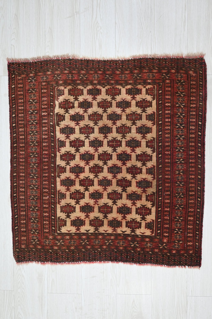 brown Accent rug 2' 9" x 2' 9"