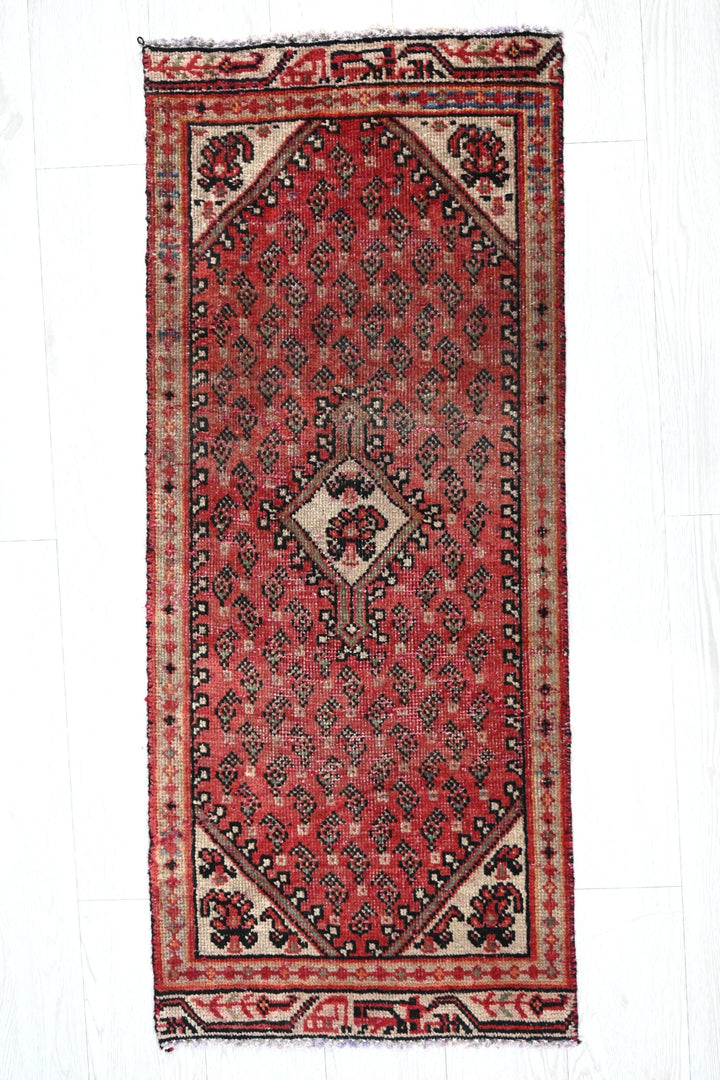 red Accent rug 1' 8" x 4' 0"