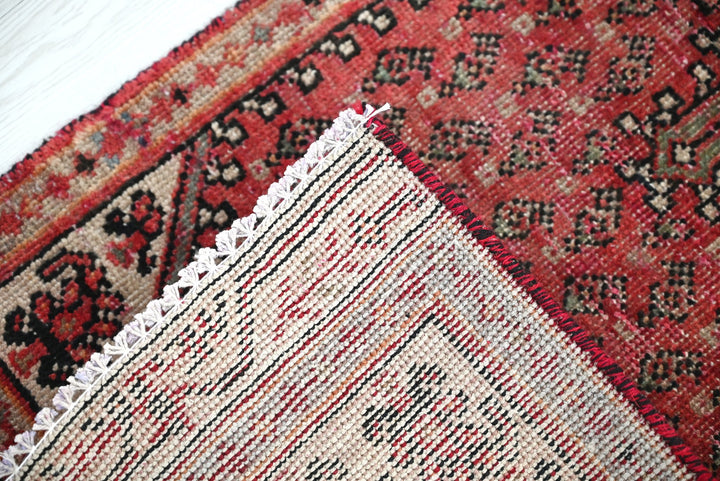 red Accent rug 1' 8" x 4' 0"