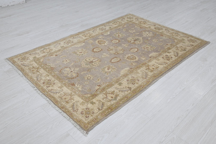 gray Accent rug 3' 9" x 5' 8"