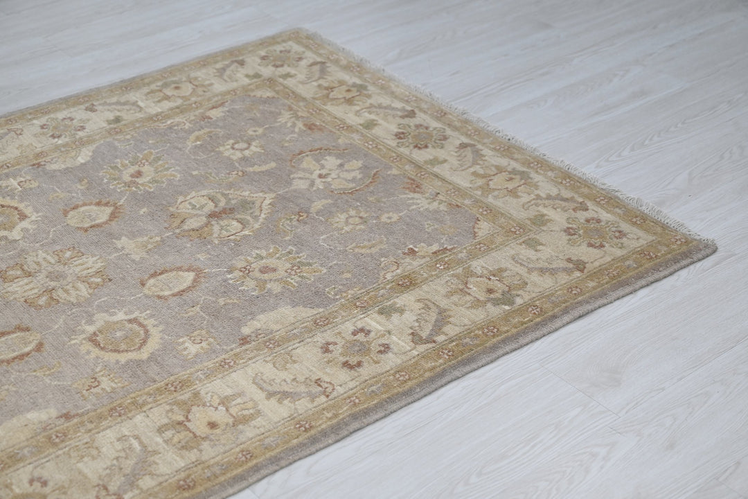 gray Accent rug 3' 9" x 5' 8"