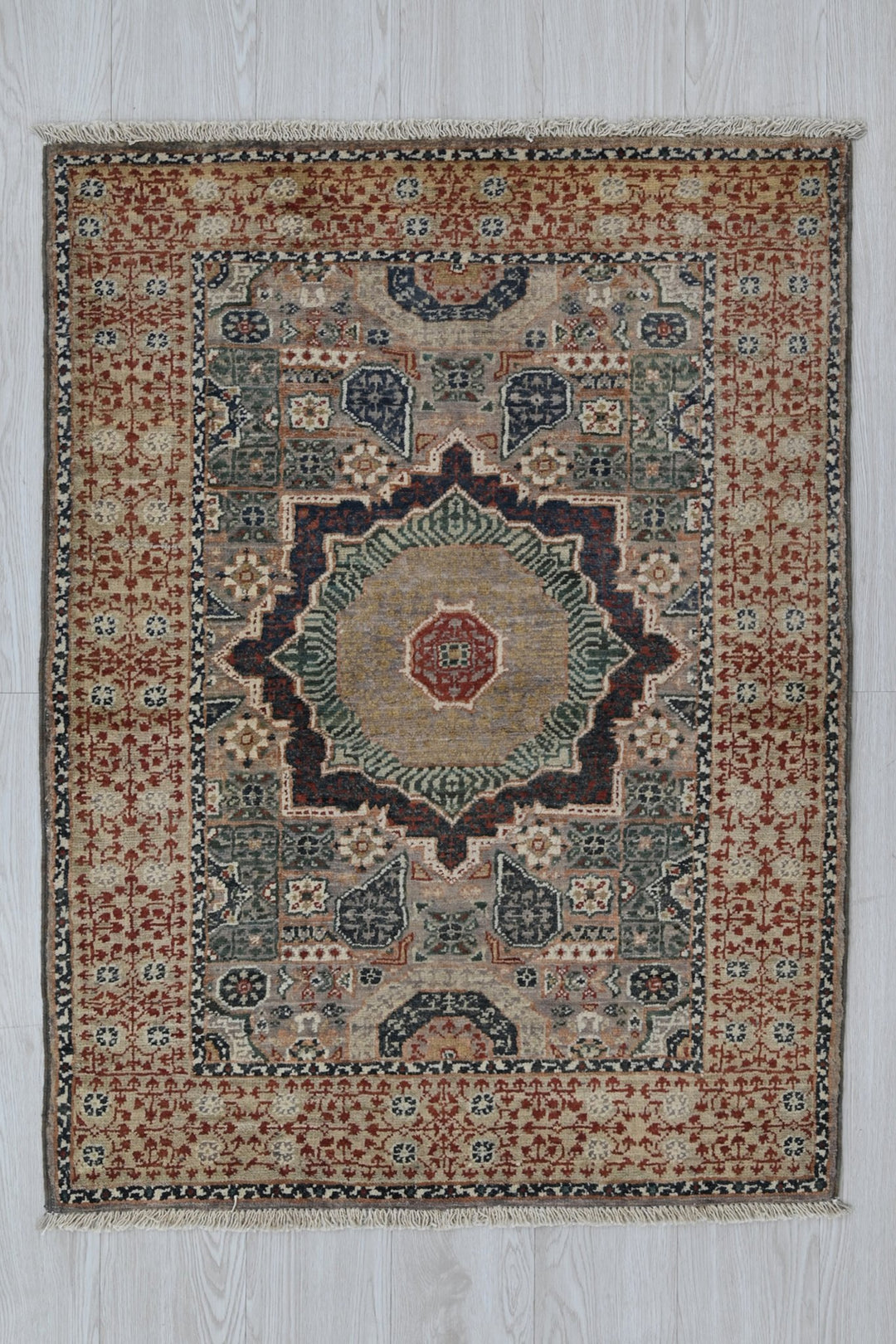 brown Accent rug 2' 9" x 4' 1"