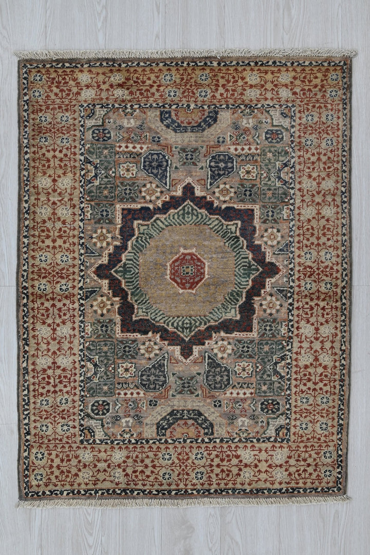 brown Accent rug 2' 9" x 4' 1"
