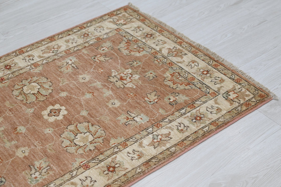 brown Accent rug 2' 9" x 4' 0"