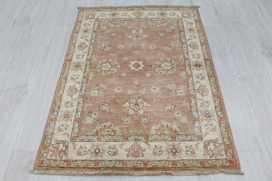 brown Accent rug 2' 9" x 4' 0"