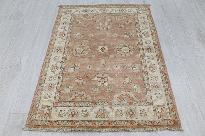 brown Accent rug 2' 9" x 4' 0"