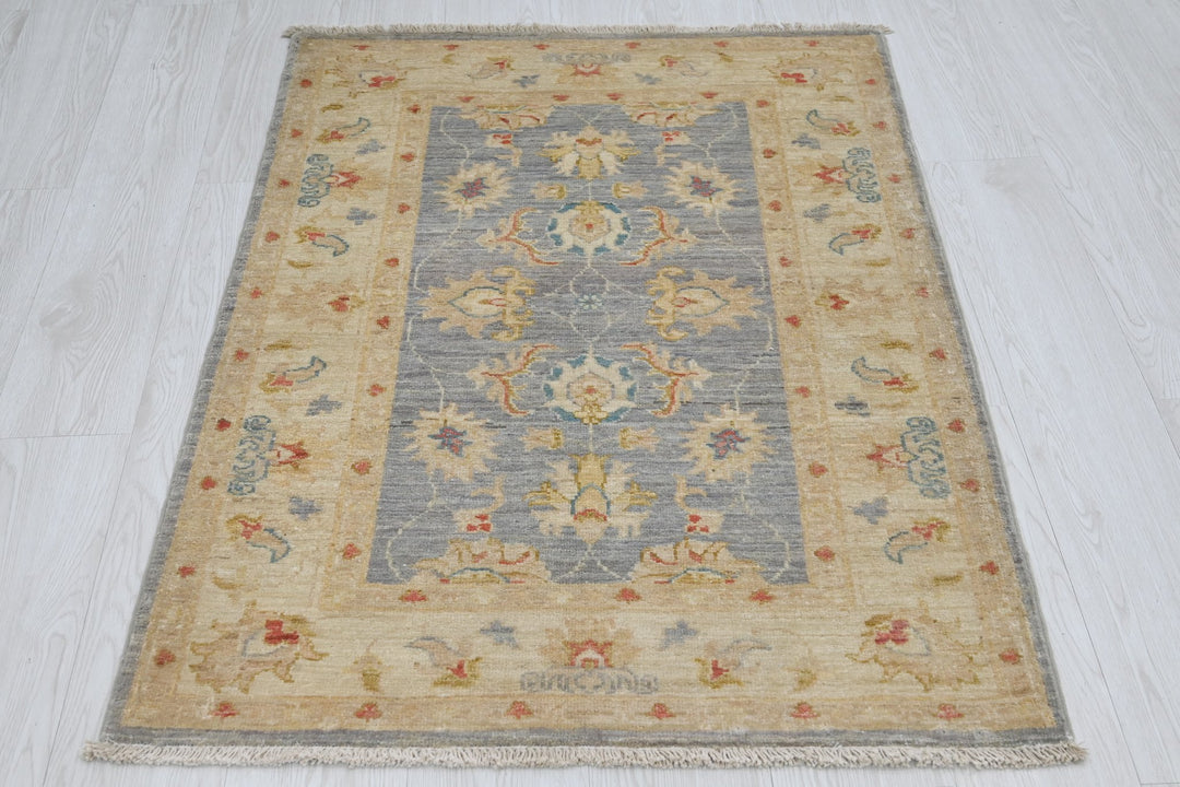 gray Accent rug 2' 9" x 3' 11"
