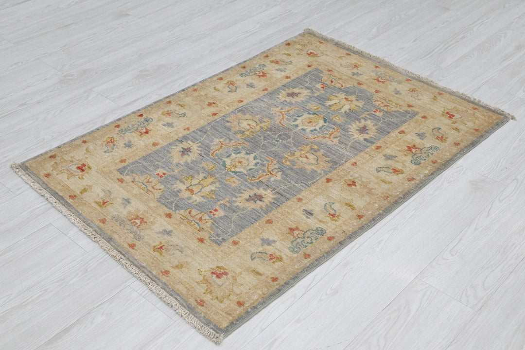 gray Accent rug 2' 9" x 3' 11"