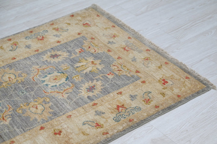 gray Accent rug 2' 9" x 3' 11"
