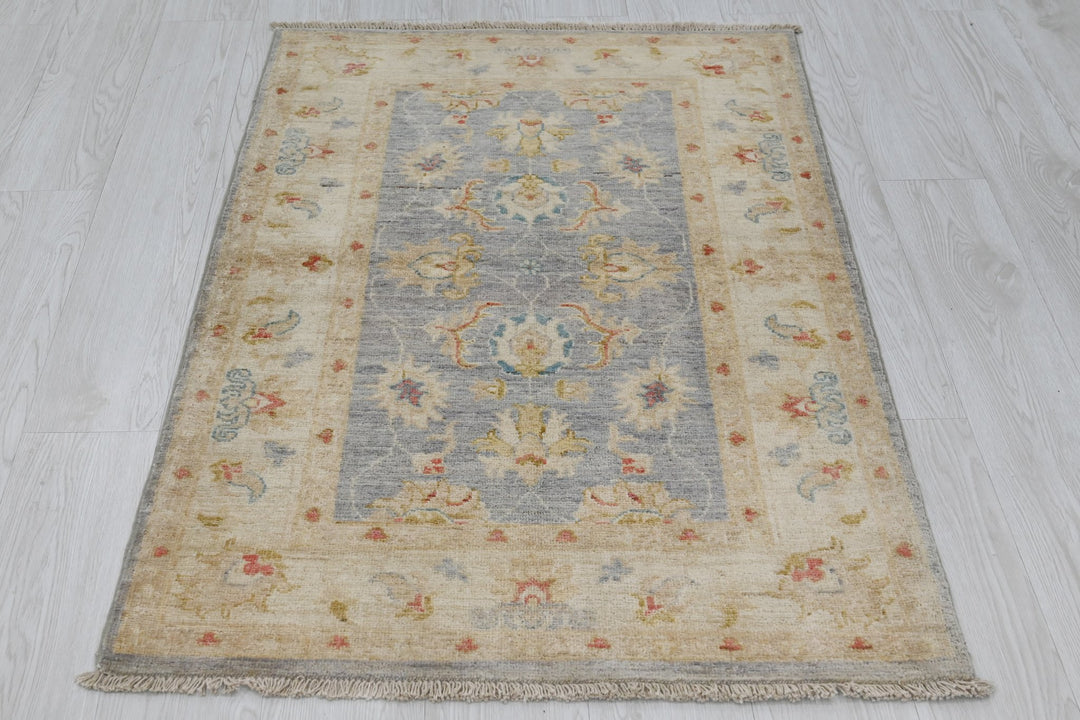 gray Accent rug 2' 9" x 3' 11"