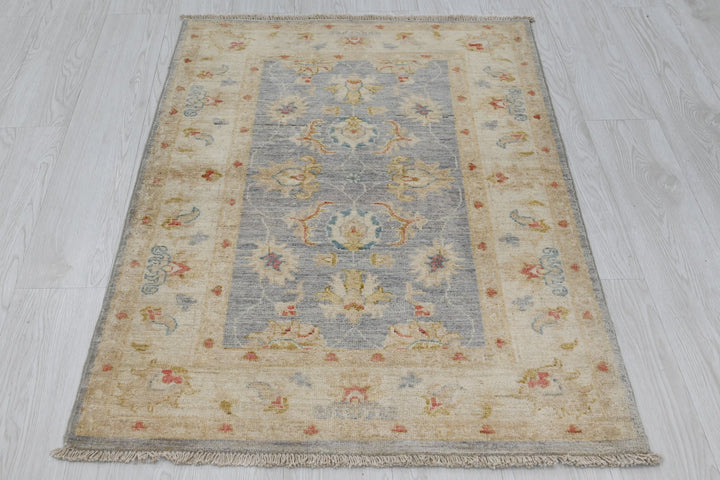 gray Accent rug 2' 9" x 3' 11"