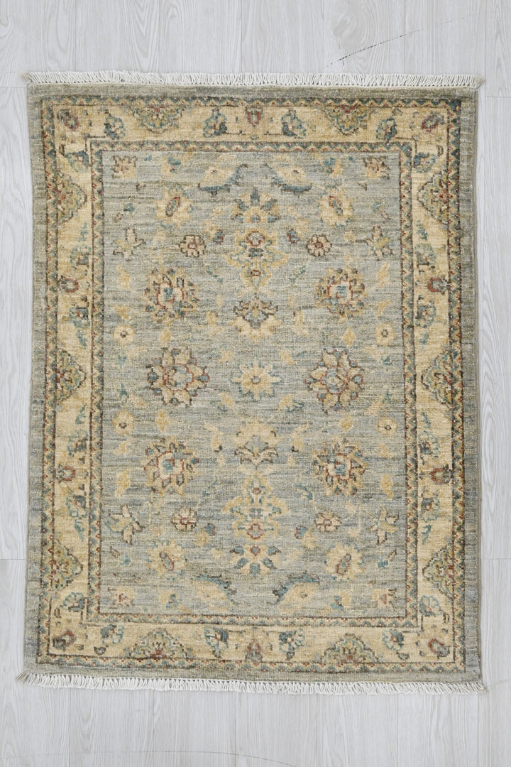 gray Accent rug 2' 9" x 3' 10"