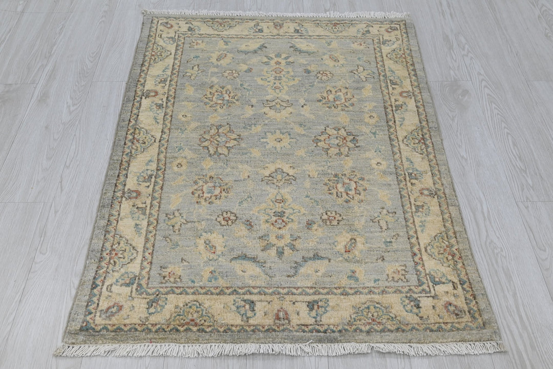 gray Accent rug 2' 9" x 3' 10"