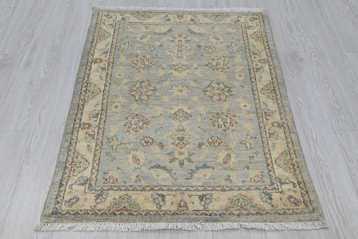 gray Accent rug 2' 9" x 3' 10"