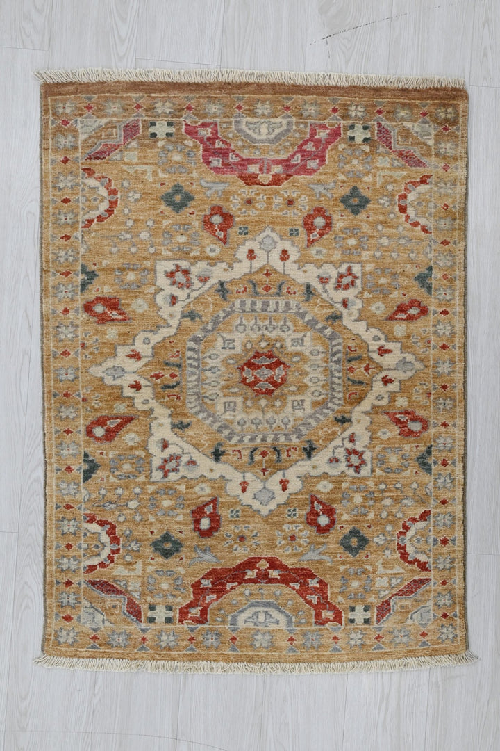 brown Accent rug 2' 7" x 3' 8"