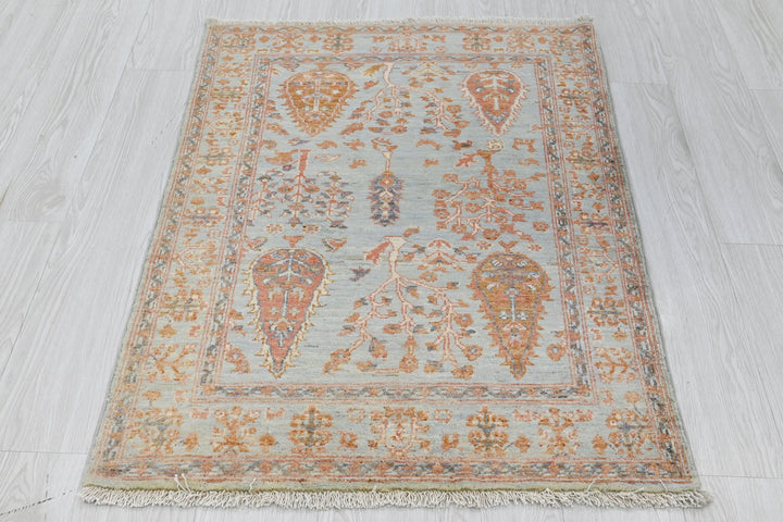 blue Accent rug 2' 7" x 3' 9"