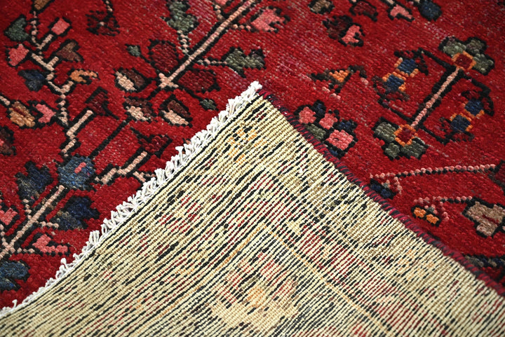 red Accent rug 3' 1" x 5' 10"