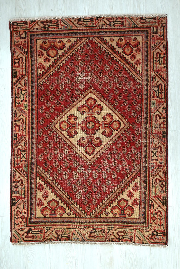 red Accent rug 3' 2" x 4' 6"
