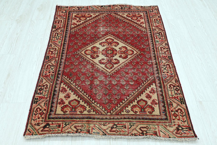 red Accent rug 3' 2" x 4' 6"