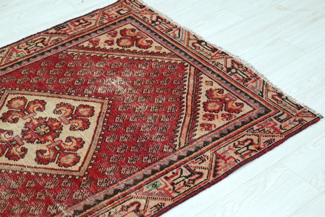 red Accent rug 3' 2" x 4' 6"