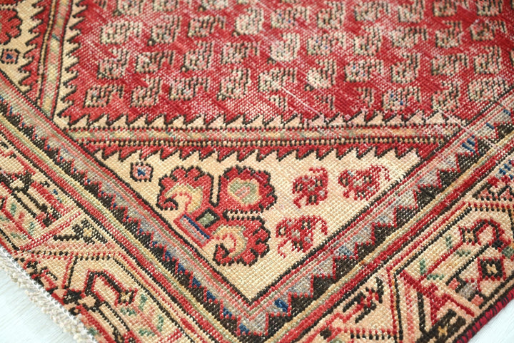 red Accent rug 3' 2" x 4' 6"