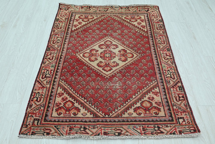 red Accent rug 3' 2" x 4' 6"