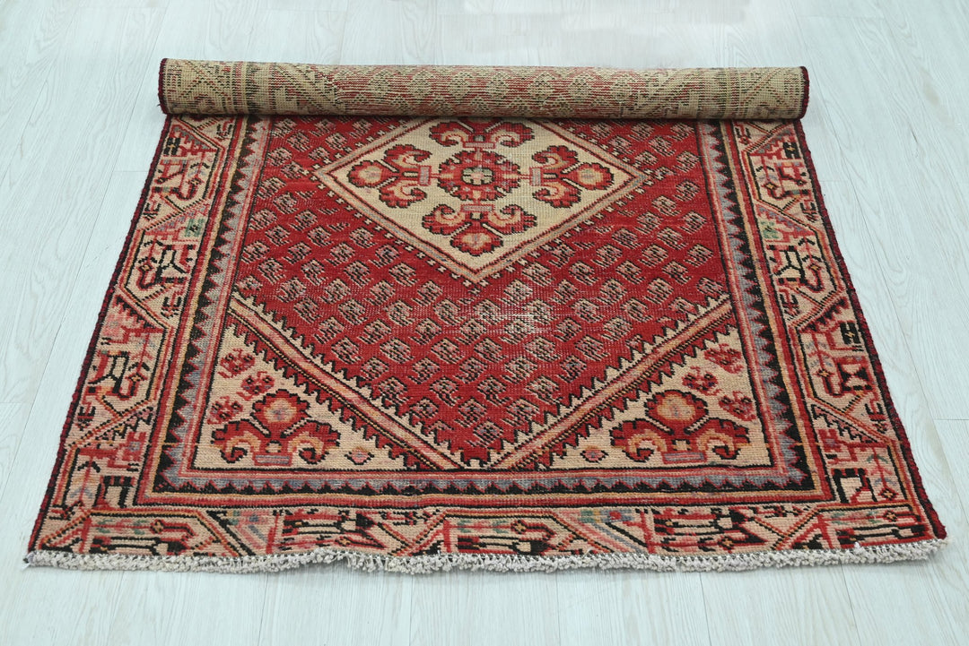 red Accent rug 3' 2" x 4' 6"