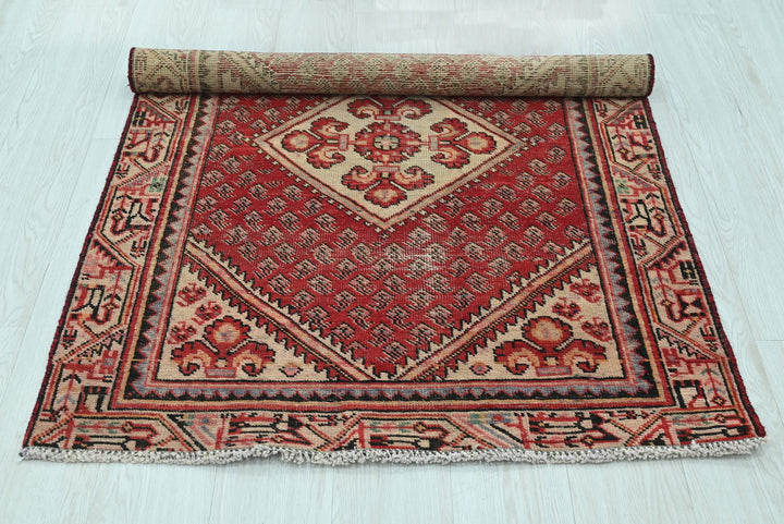 red Accent rug 3' 2" x 4' 6"