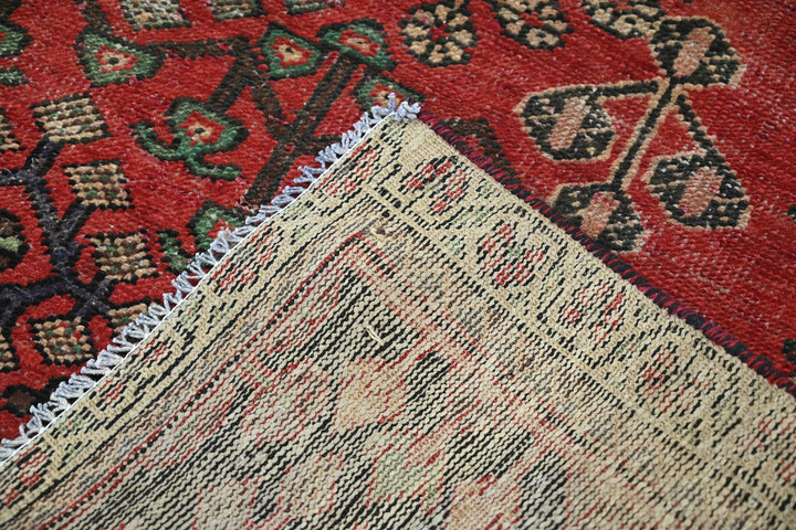 red Accent rug 4' 1" x 6' 1"