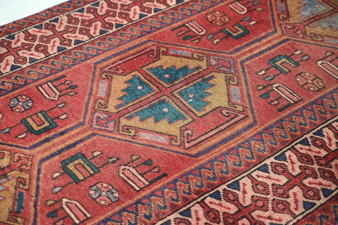 red Runner rug 3' 3" x 9' 10"