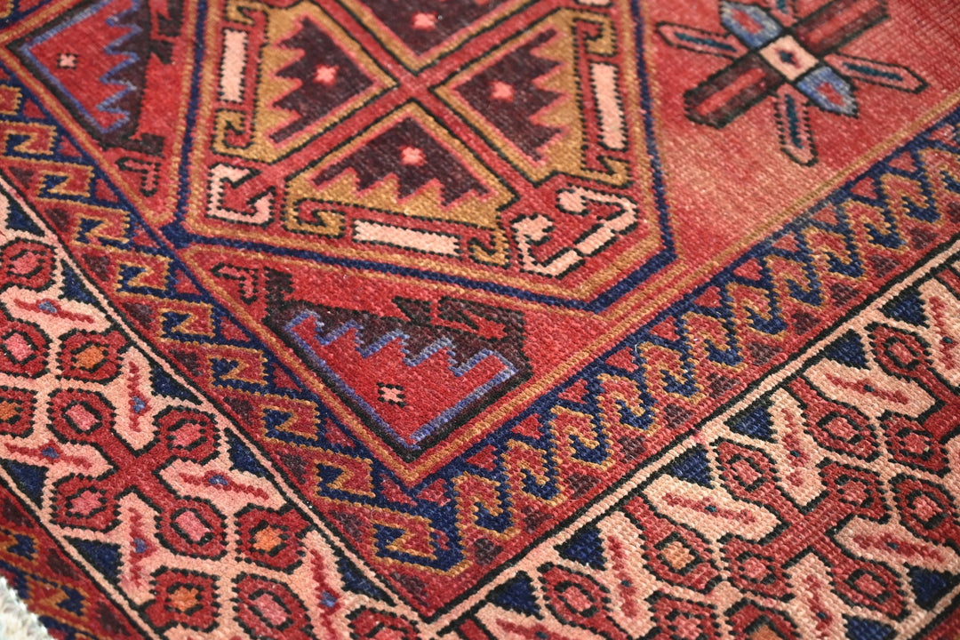 red Runner rug 3' 3" x 9' 10"