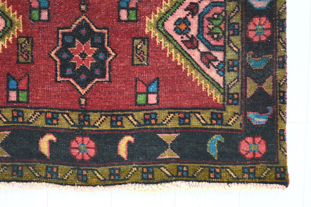 red Runner rug 3' 2" x 10' 10"