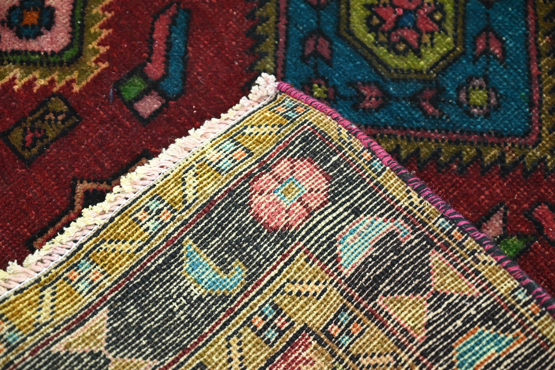 red Runner rug 3' 2" x 10' 10"