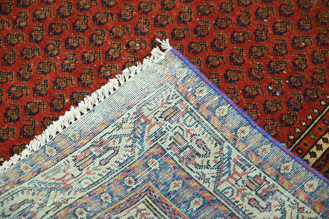 red Accent rug 3' 3" x 4' 9"