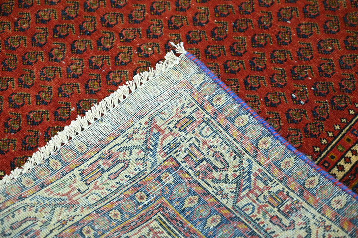 red Accent rug 3' 3" x 4' 9"