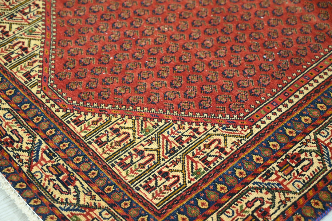 red Accent rug 3' 3" x 4' 9"