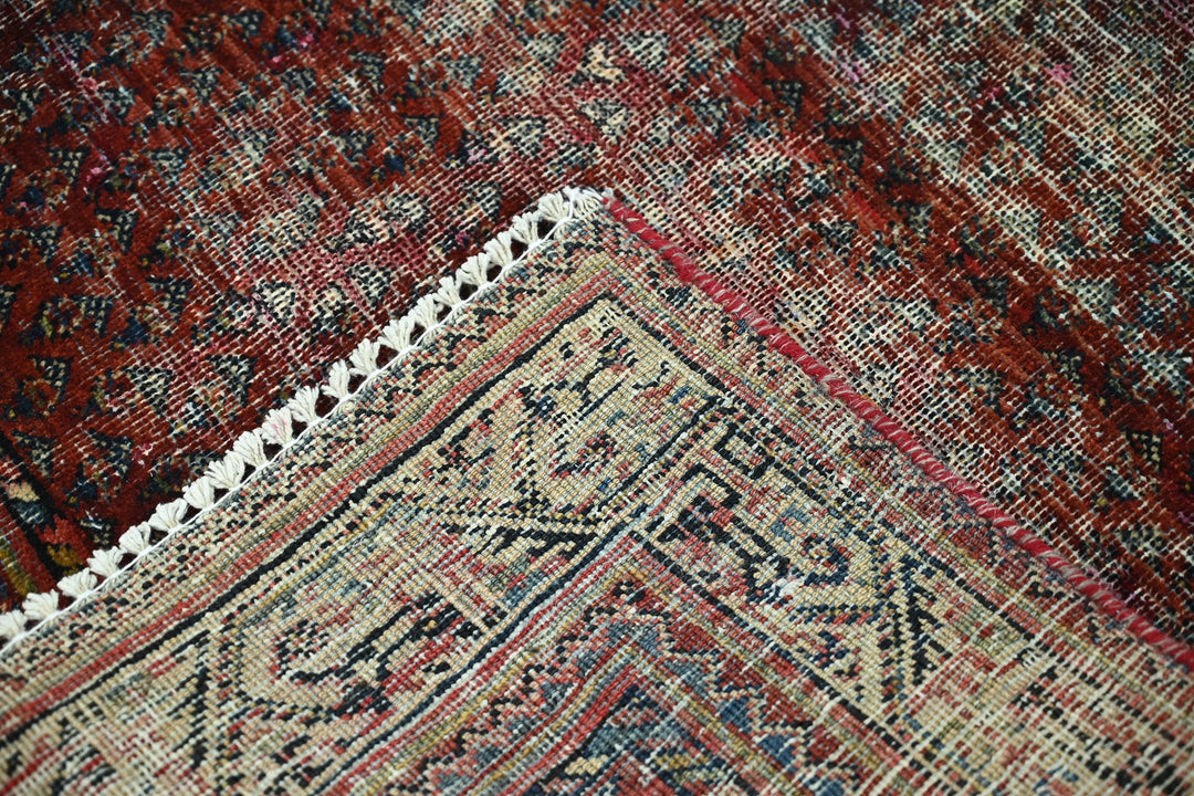 red Accent rug 3' 3" x 4' 9"