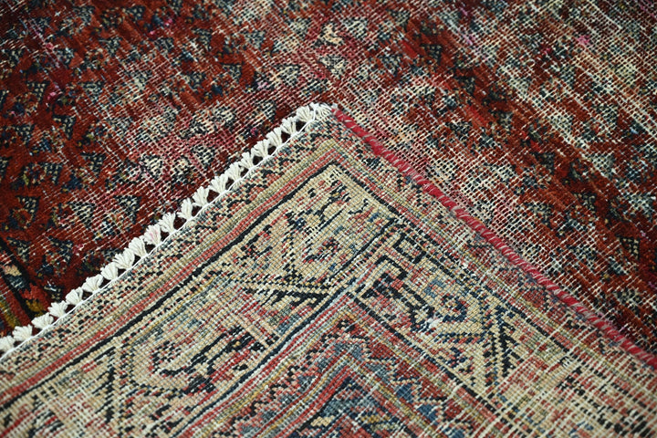 red Accent rug 3' 3" x 4' 9"