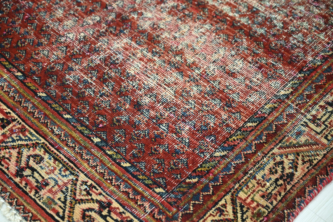 red Accent rug 3' 3" x 4' 9"