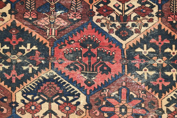 black Medium rug 6' 6" x 9' 0"
