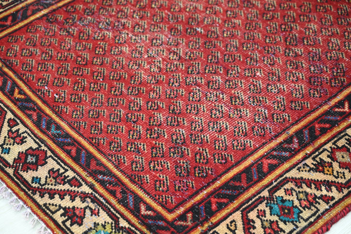 red Runner rug 3' 6" x 8' 10"