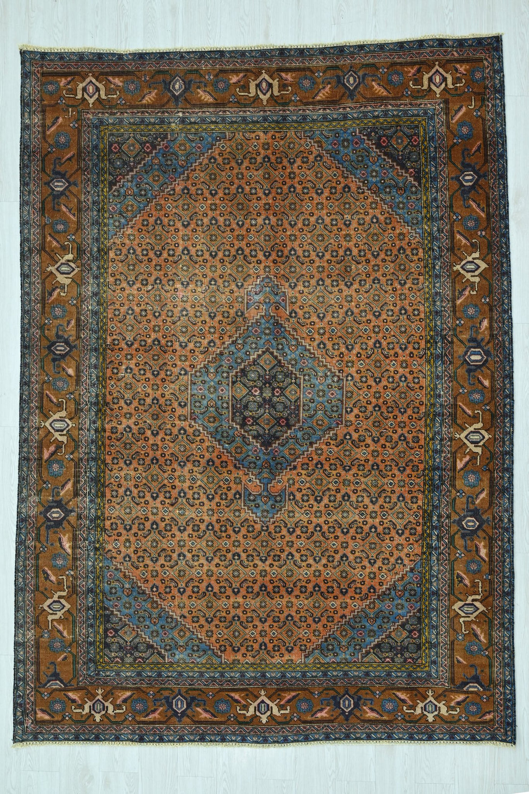 orange Medium rug 6' 3" x 9' 1"
