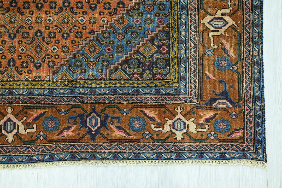 orange Medium rug 6' 3" x 9' 1"