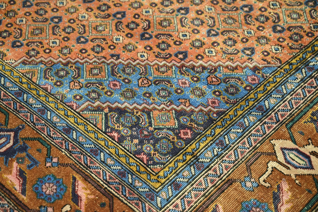 orange Medium rug 6' 3" x 9' 1"