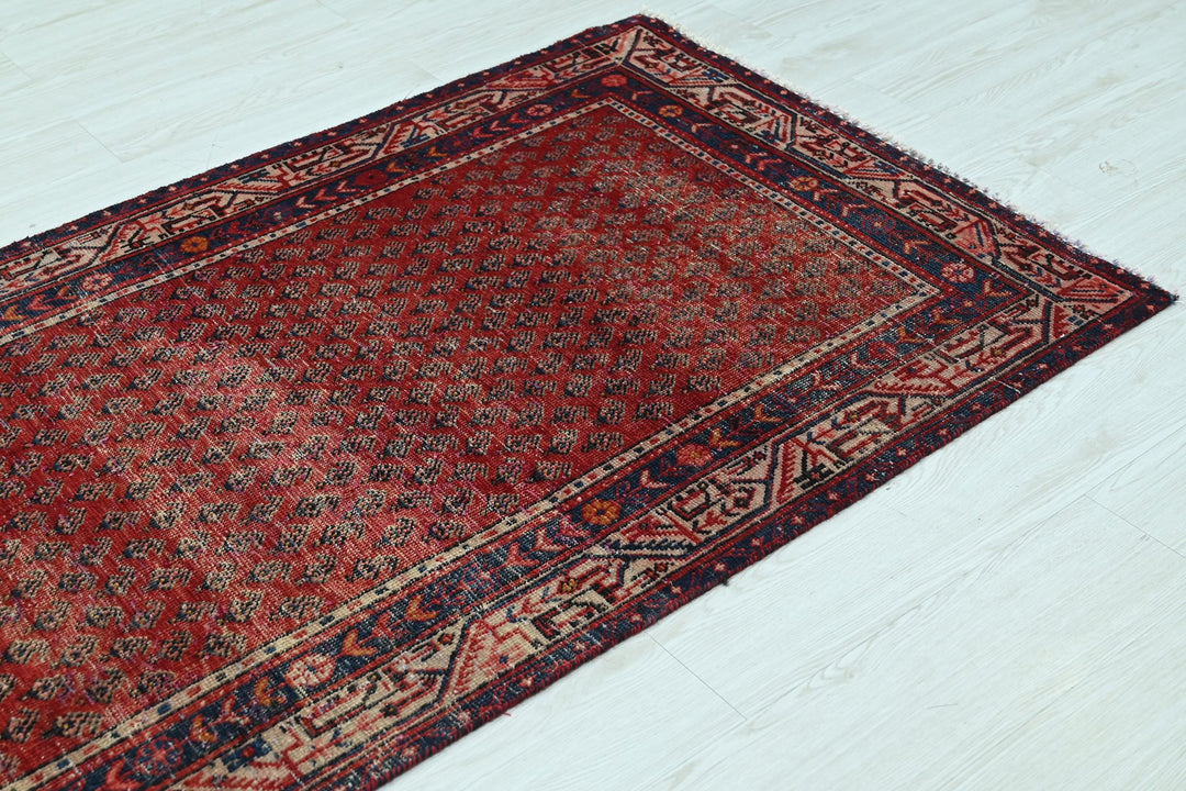 red Runner rug 3' 3" x 10' 3"