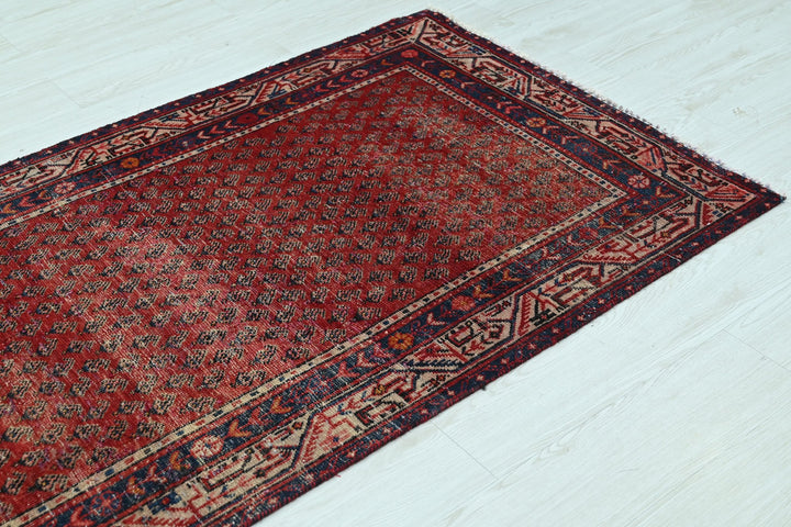 red Runner rug 3' 3" x 10' 3"