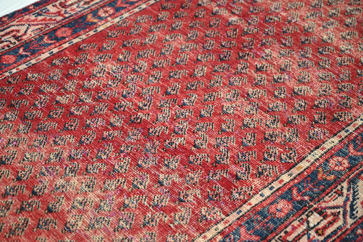 red Runner rug 3' 3" x 10' 3"