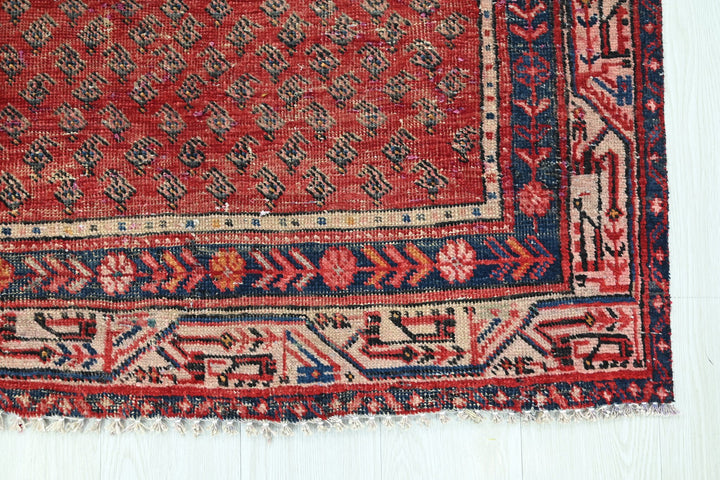 red Runner rug 3' 3" x 10' 3"