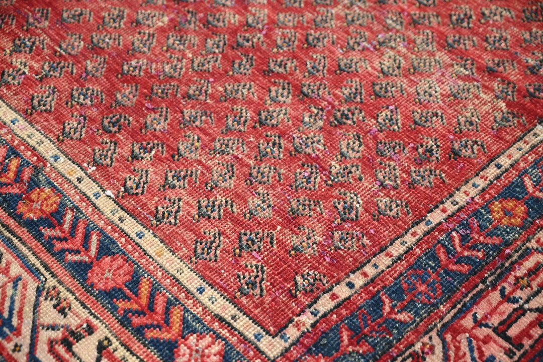 red Runner rug 3' 3" x 10' 3"