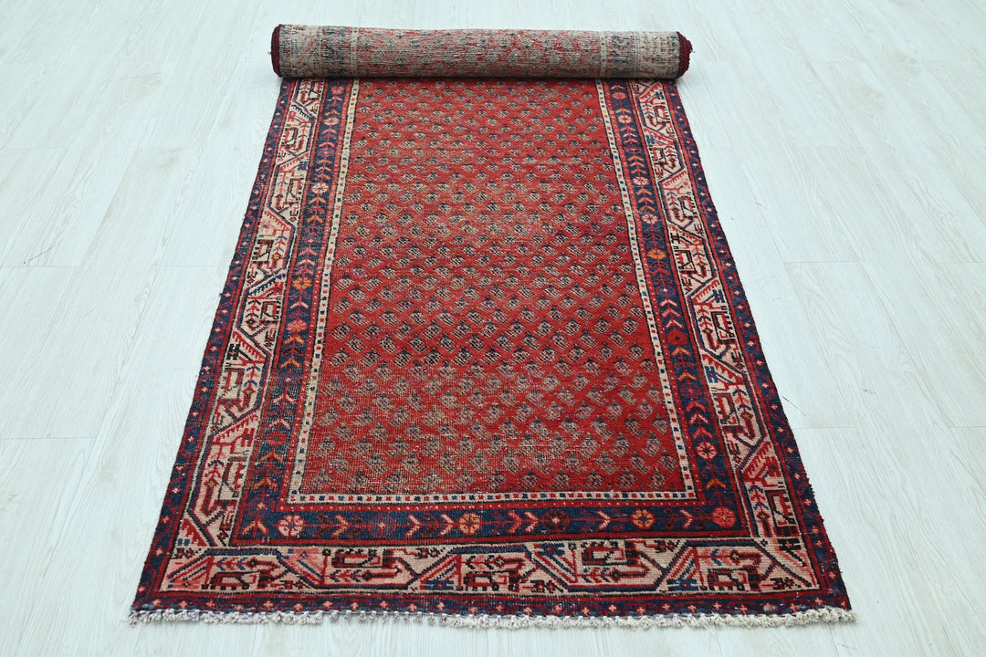 red Runner rug 3' 3" x 10' 3"